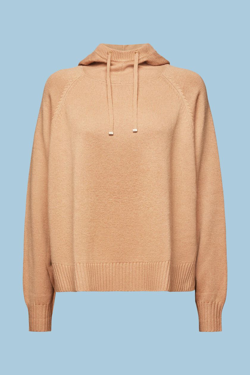 Wool Blend Hooded Sweater