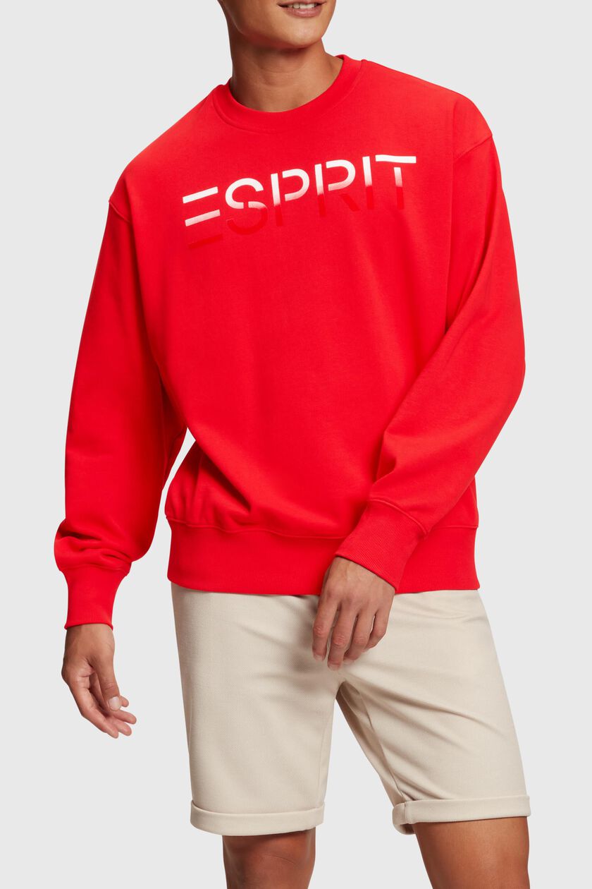 Flocked logo applique sweatshirt